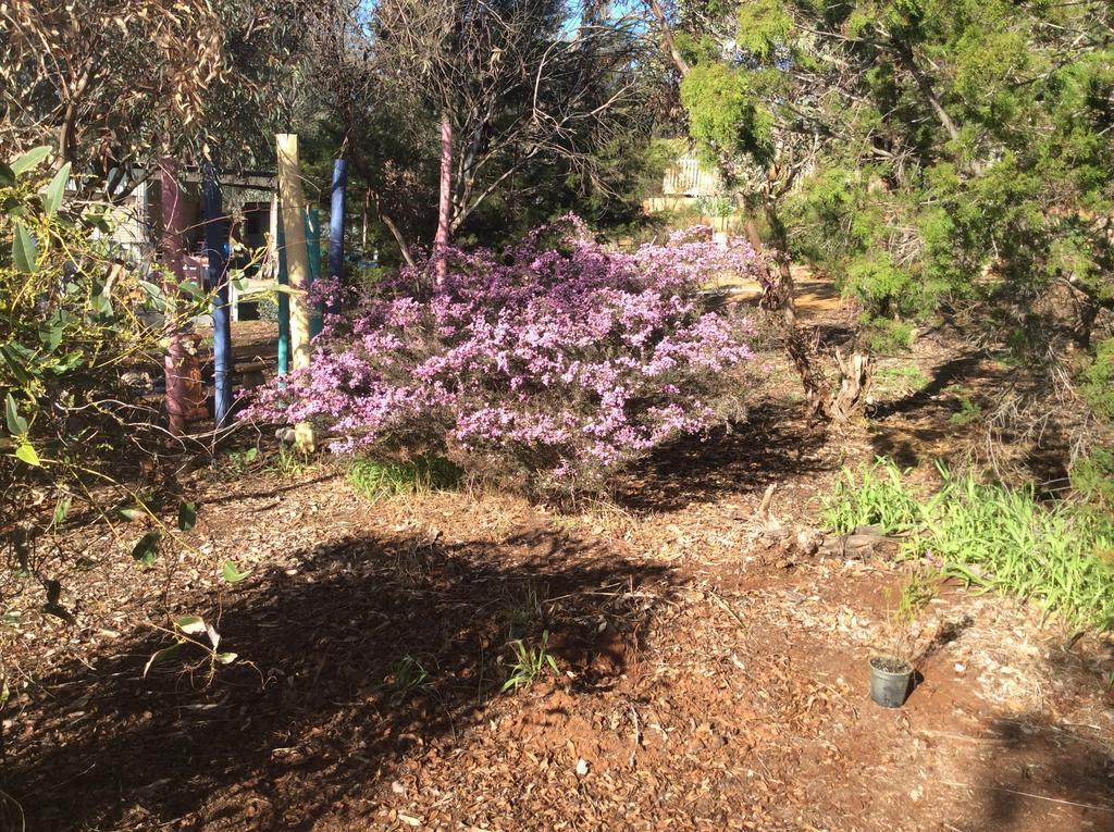 Floravalley Bed & Breakfast Toodyay ภายนอก รูปภาพ