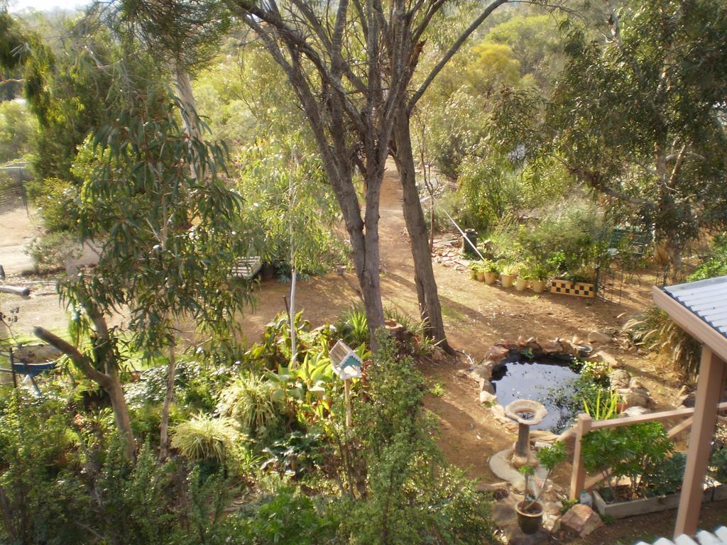 Floravalley Bed & Breakfast Toodyay ภายนอก รูปภาพ