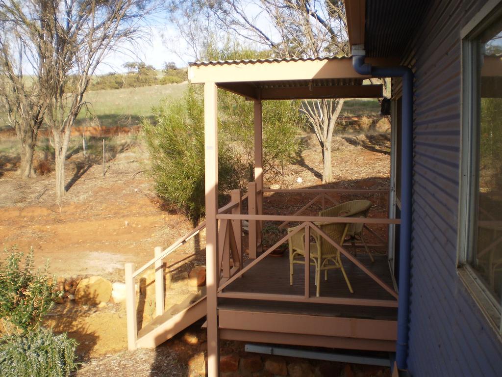 Floravalley Bed & Breakfast Toodyay ภายนอก รูปภาพ