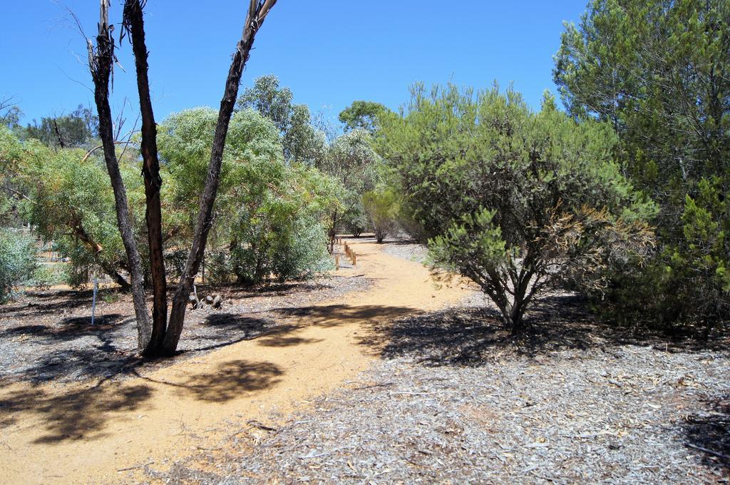 Floravalley Bed & Breakfast Toodyay ภายนอก รูปภาพ