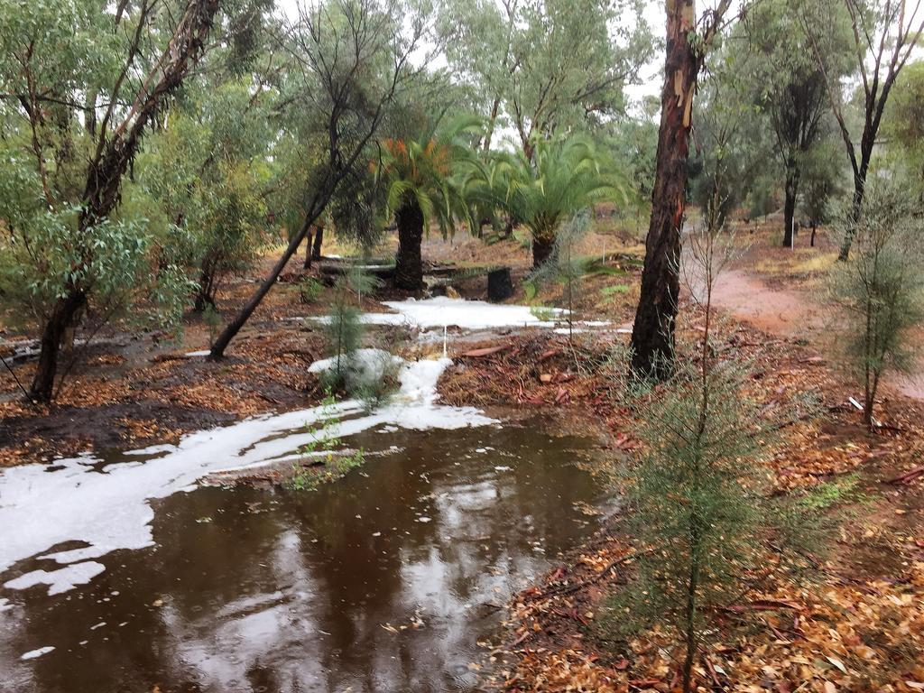 Floravalley Bed & Breakfast Toodyay ภายนอก รูปภาพ